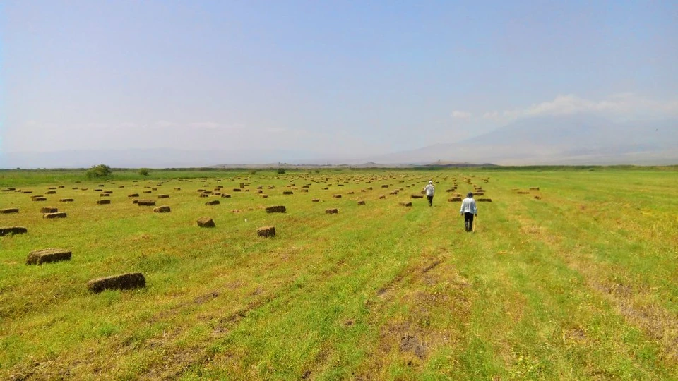 Գյուղատնտեսական և Համայնքային Ծրագրեր